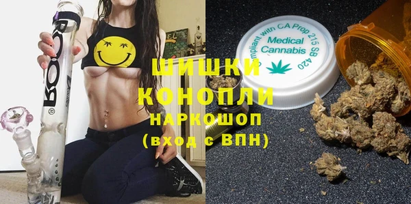 ГАЛЛЮЦИНОГЕННЫЕ ГРИБЫ Алексеевка