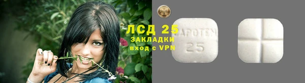 ГАЛЛЮЦИНОГЕННЫЕ ГРИБЫ Алексеевка