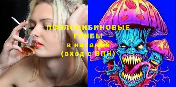 spice Приозерск