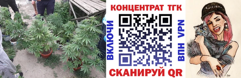 Дистиллят ТГК гашишное масло Купить Ершов